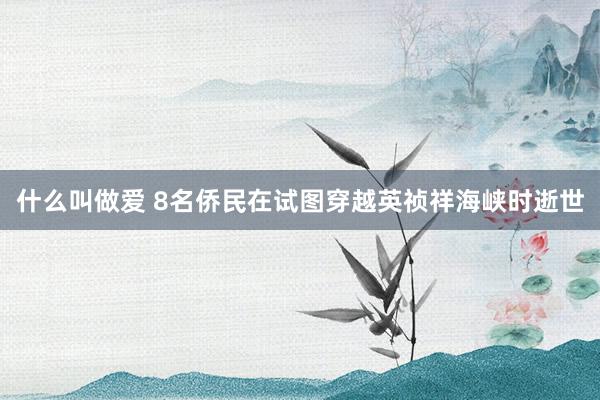 什么叫做爱 8名侨民在试图穿越英祯祥海峡时逝世