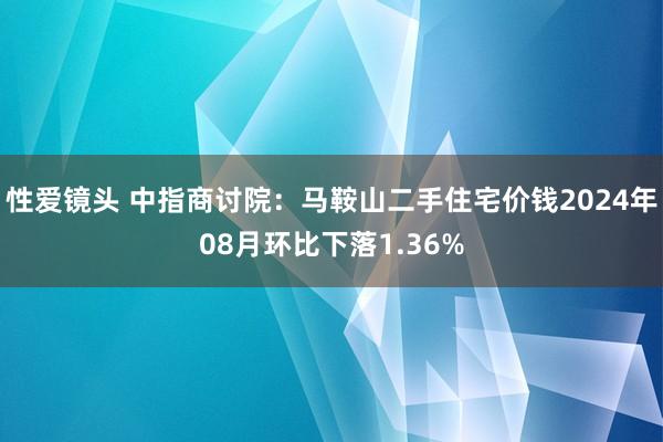 性爱镜头 中指商讨院：马鞍山二手住宅价钱2024年08月环比下落1.36%