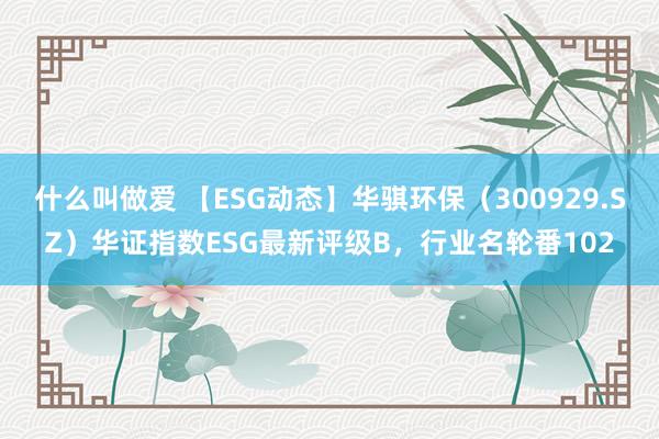 什么叫做爱 【ESG动态】华骐环保（300929.SZ）华证指数ESG最新评级B，行业名轮番102