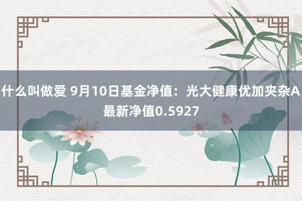 什么叫做爱 9月10日基金净值：光大健康优加夹杂A最新净值0.5927