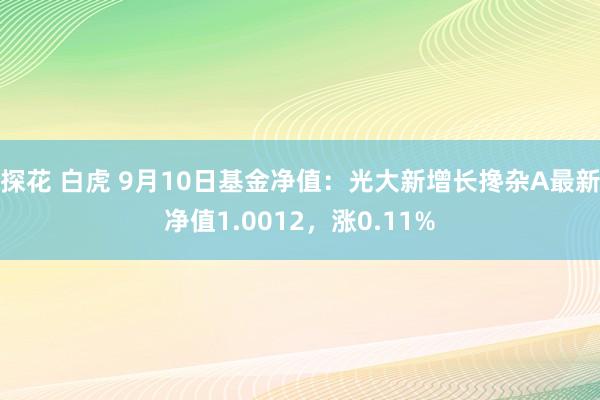 探花 白虎 9月10日基金净值：光大新增长搀杂A最新净值1.0012，涨0.11%