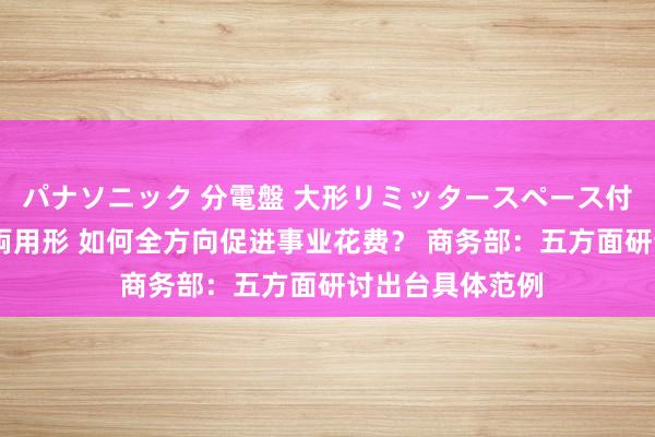 パナソニック 分電盤 大形リミッタースペース付 露出・半埋込両用形 如何全方向促进事业花费？ 商务部：五方面研讨出台具体范例