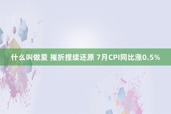 什么叫做爱 摧折捏续还原 7月CPI同比涨0.5%