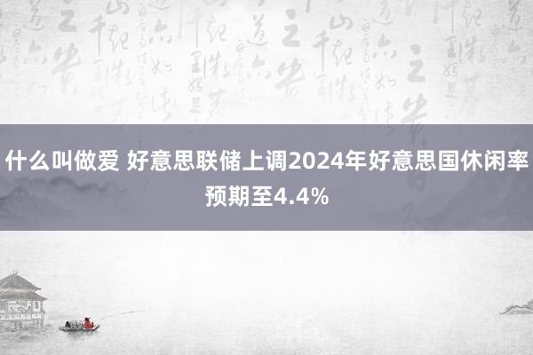 什么叫做爱 好意思联储上调2024年好意思国休闲率预期至4.4%