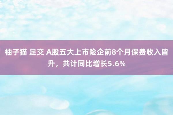 柚子猫 足交 A股五大上市险企前8个月保费收入皆升，共计同比增长5.6%