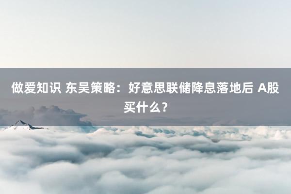 做爱知识 东吴策略：好意思联储降息落地后 A股买什么？