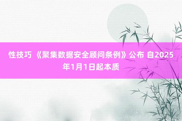 性技巧 《聚集数据安全顾问条例》公布 自2025年1月1日起本质