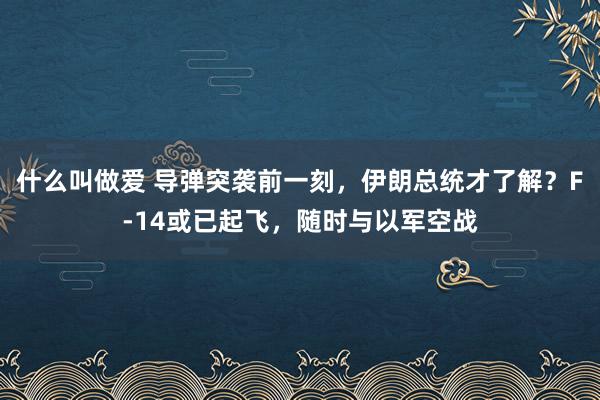 什么叫做爱 导弹突袭前一刻，伊朗总统才了解？F-14或已起飞，随时与以军空战