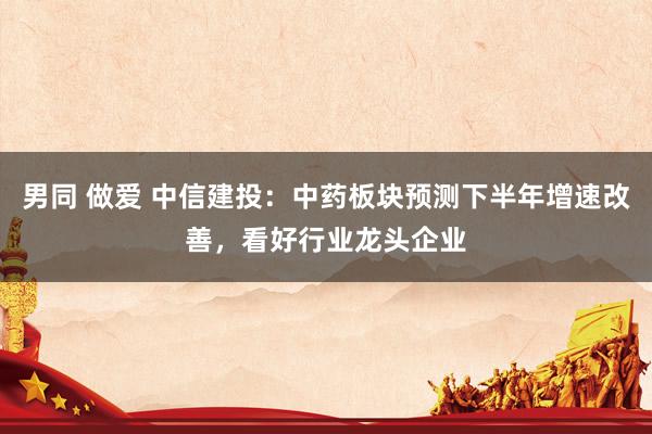 男同 做爱 中信建投：中药板块预测下半年增速改善，看好行业龙头企业