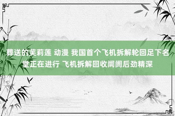 葬送的芙莉莲 动漫 我国首个飞机拆解轮回足下名堂正在进行 飞机拆解回收阛阓后劲精深