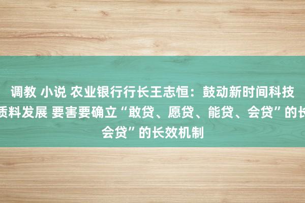 调教 小说 农业银行行长王志恒：鼓动新时间科技金融高质料发展 要害要确立“敢贷、愿贷、能贷、会贷”的长效机制