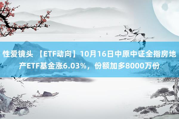 性爱镜头 【ETF动向】10月16日中原中证全指房地产ETF基金涨6.03%，份额加多8000万份