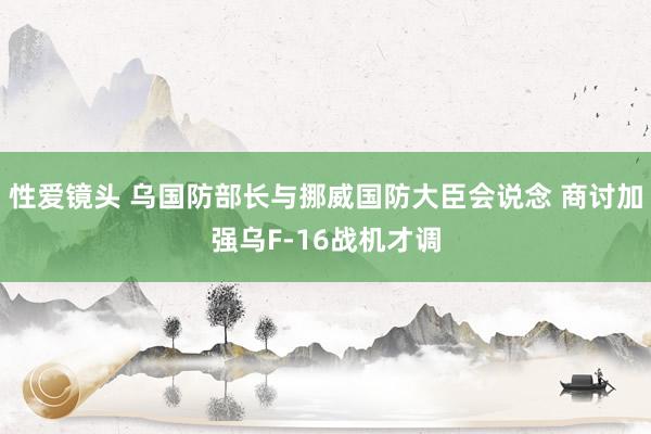 性爱镜头 乌国防部长与挪威国防大臣会说念 商讨加强乌F-16战机才调