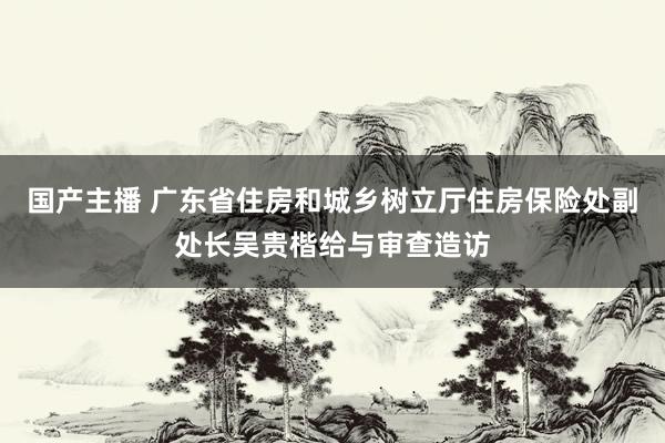 国产主播 广东省住房和城乡树立厅住房保险处副处长吴贵楷给与审查造访