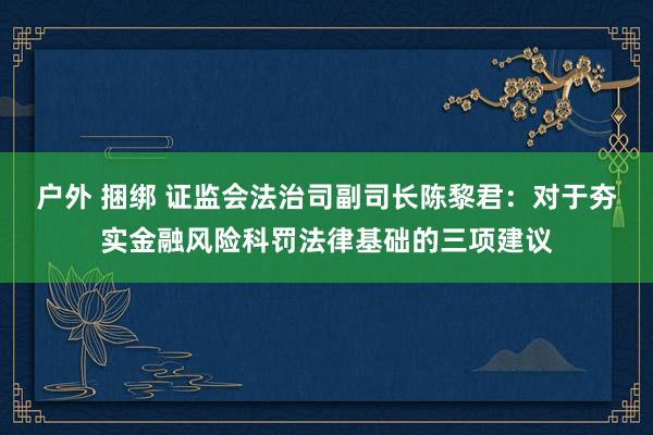 户外 捆绑 证监会法治司副司长陈黎君：对于夯实金融风险科罚法律基础的三项建议