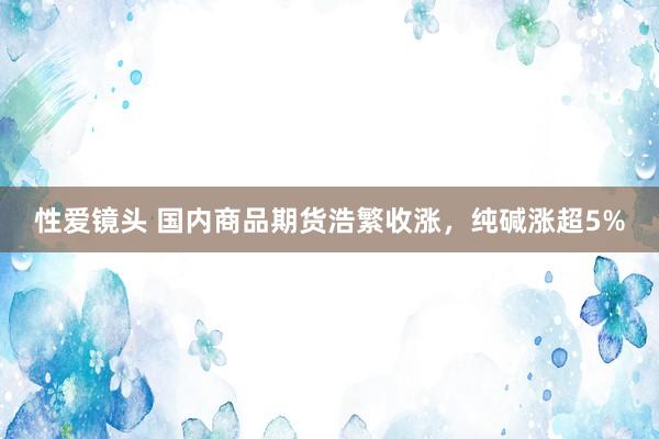 性爱镜头 国内商品期货浩繁收涨，纯碱涨超5%