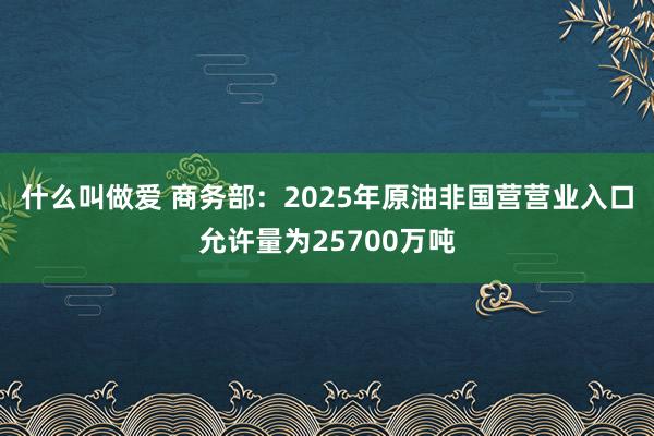 什么叫做爱 商务部：2025年原油非国营营业入口允许量为25700万吨