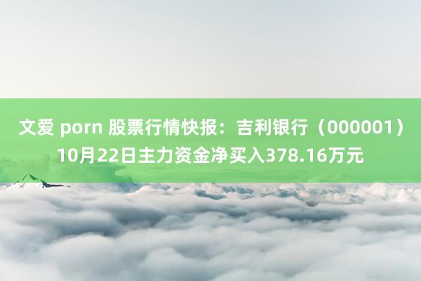 文爱 porn 股票行情快报：吉利银行（000001）10月22日主力资金净买入378.16万元