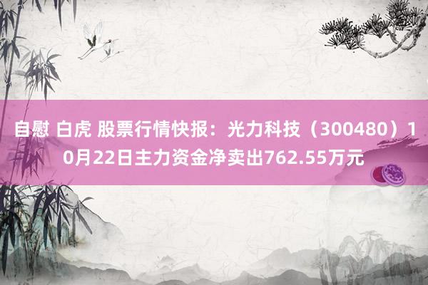 自慰 白虎 股票行情快报：光力科技（300480）10月22日主力资金净卖出762.55万元