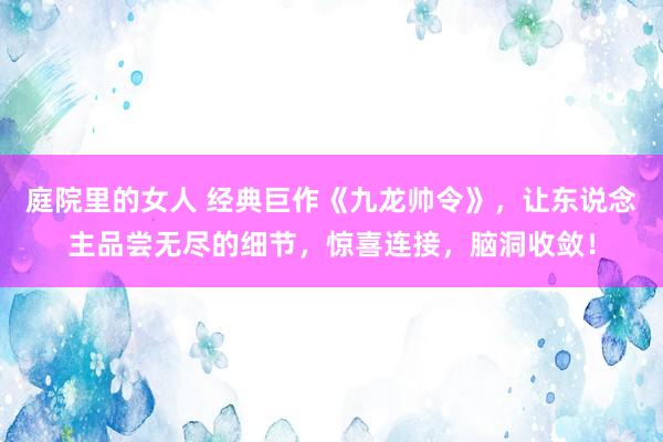 庭院里的女人 经典巨作《九龙帅令》，让东说念主品尝无尽的细节，惊喜连接，脑洞收敛！