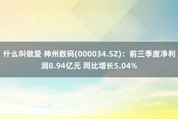 什么叫做爱 神州数码(000034.SZ)：前三季度净利润8.94亿元 同比增长5.04%