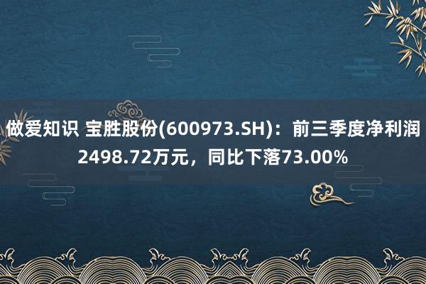 做爱知识 宝胜股份(600973.SH)：前三季度净利润2498.72万元，同比下落73.00%