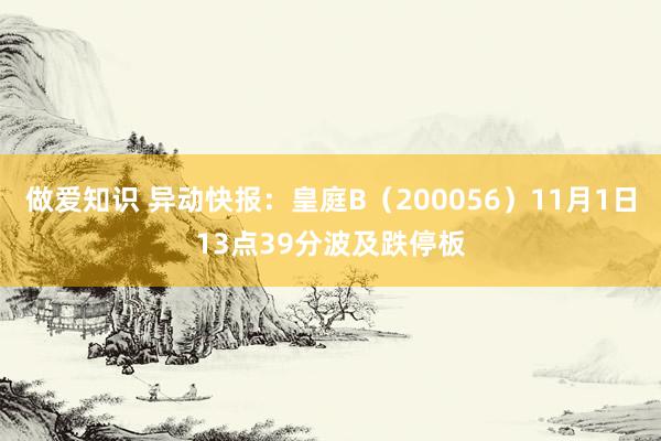 做爱知识 异动快报：皇庭B（200056）11月1日13点39分波及跌停板