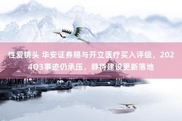 性爱镜头 华安证券赐与开立医疗买入评级，2024Q3事迹仍承压，静待建设更新落地