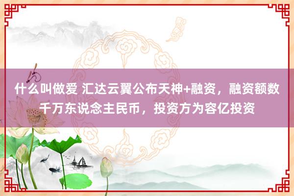 什么叫做爱 汇达云翼公布天神+融资，融资额数千万东说念主民币，投资方为容亿投资