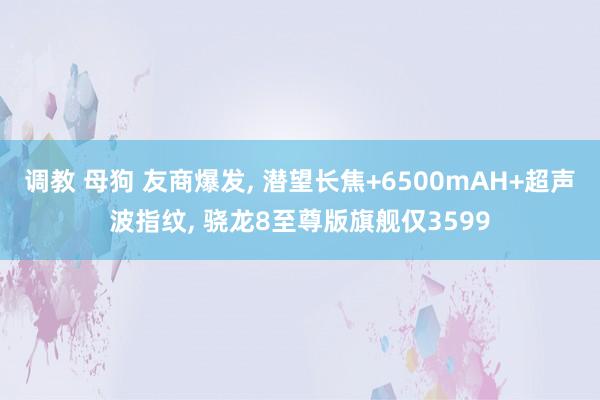 调教 母狗 友商爆发， 潜望长焦+6500mAH+超声波指纹， 骁龙8至尊版旗舰仅3599