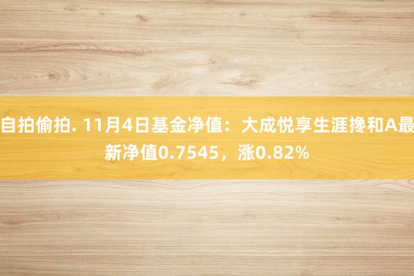 自拍偷拍. 11月4日基金净值：大成悦享生涯搀和A最新净值0.7545，涨0.82%