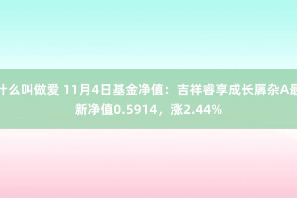 什么叫做爱 11月4日基金净值：吉祥睿享成长羼杂A最新净值0.5914，涨2.44%