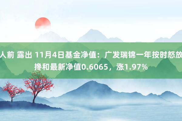 人前 露出 11月4日基金净值：广发瑞锦一年按时怒放搀和最新净值0.6065，涨1.97%