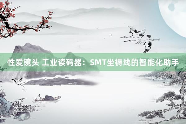 性爱镜头 工业读码器：SMT坐褥线的智能化助手