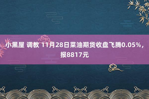 小黑屋 调教 11月28日菜油期货收盘飞腾0.05%，报8817元