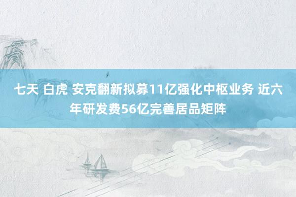 七天 白虎 安克翻新拟募11亿强化中枢业务 近六年研发费56亿完善居品矩阵