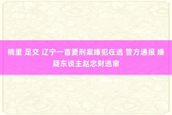 楠里 足交 辽宁一首要刑案嫌犯在逃 警方通报 嫌疑东谈主赵忠财逃窜