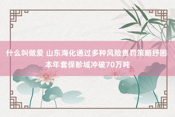 什么叫做爱 山东海化通过多种风险责罚策略纾困 本年套保畛域冲破70万吨