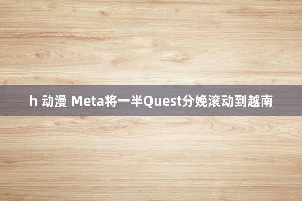 h 动漫 Meta将一半Quest分娩滚动到越南