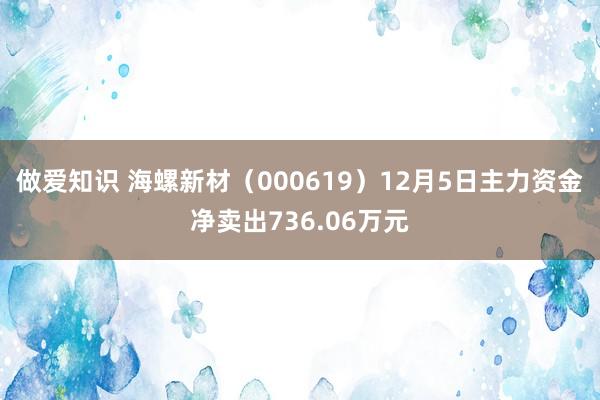 做爱知识 海螺新材（000619）12月5日主力资金净卖出736.06万元