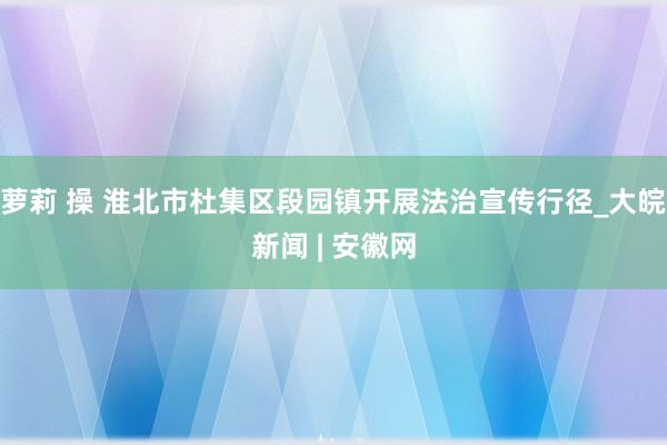 萝莉 操 淮北市杜集区段园镇开展法治宣传行径_大皖新闻 | 安徽网