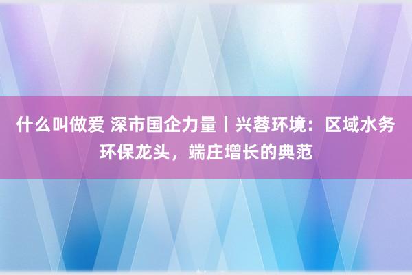 什么叫做爱 深市国企力量丨兴蓉环境：区域水务环保龙头，端庄增长的典范