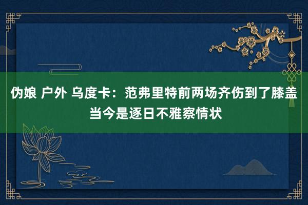 伪娘 户外 乌度卡：范弗里特前两场齐伤到了膝盖 当今是逐日不雅察情状