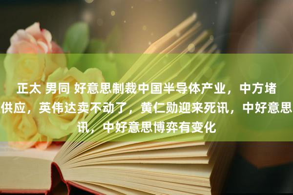 正太 男同 好意思制裁中国半导体产业，中方堵截关节资源供应，英伟达卖不动了，黄仁勋迎来死讯，中好意思博弈有变化