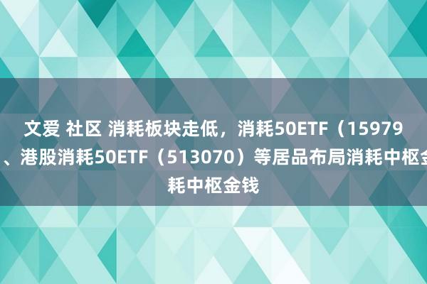 文爱 社区 消耗板块走低，消耗50ETF（159798）、港股消耗50ETF（513070）等居品布局消耗中枢金钱