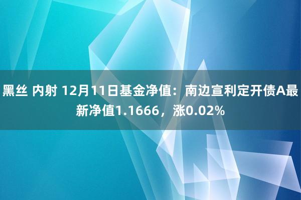 黑丝 内射 12月11日基金净值：南边宣利定开债A最新净值1.1666，涨0.02%