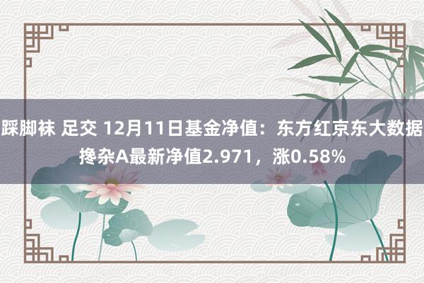 踩脚袜 足交 12月11日基金净值：东方红京东大数据搀杂A最新净值2.971，涨0.58%