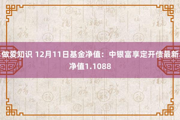 做爱知识 12月11日基金净值：中银富享定开债最新净值1.1088