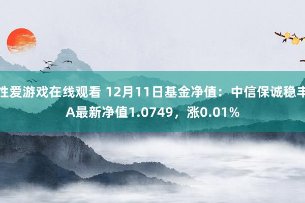 性爱游戏在线观看 12月11日基金净值：中信保诚稳丰A最新净值1.0749，涨0.01%