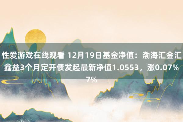 性爱游戏在线观看 12月19日基金净值：渤海汇金汇鑫益3个月定开债发起最新净值1.0553，涨0.07%